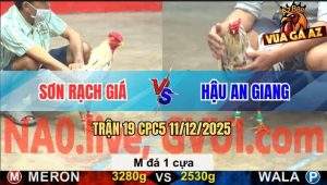 Trận 19 CPC5 11/12/2025 - Bướm 1 Cựa Đá Ngay Bang Tai Camelo Giãy Chết