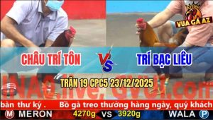 Trận 19 CPC5 23/12/2025 - Điều Anh Châu Ngoại Hạng Đá Lẹ Như Tép Nhảy
