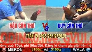 Trận 19 CPC5 25/12/2025 - Gà Que Anh Hậu Cần Thơ Đâm Cựa Quá Tịch