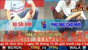 Trận 19 CPC5 5/12/2025 - Gà Điều Chạy Xe Bướm Để Cây Lưng Chạy Luôn