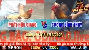 Trận 19 CPC5 9/12/2025 - Camelo Anh Phát Đụng Cọp 1 Đá Tắt Thở Bưng Ra