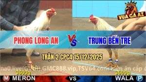Trận 2 CPC4 15/12/2025 - Hai Con Giao Nạp Lọt Tim Rụng Nụ Cả 2