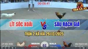 Trận 2 Xà Xía 29/12/2025 - Úa Hiệu Anh Lít Đâm Điều Ói Đen Đầu