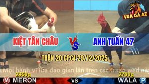 Trận 20 CPC4 29/12/2025 - Bướm Anh Kiệt Đâm Chân Nào Điều Sụp Chân Đó