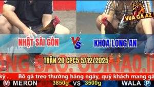 Trận 20 CPC5 5/12/2025 - Điều Anh Khoa Nhỏ Mà Cáp Ngông Que Đá Gục Đầu