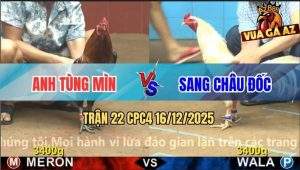 Trận 22 CPC4 16/12/2025 - Anh Tùng Mìn Đi 2 Con Hòa Tang Nguyên Cặp