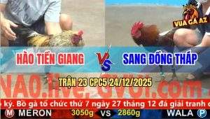 Trận 23 CPC5 24/12/2025 - Chuối Đen Anh Hào Đá Cây Cần Điều Giãy Chết