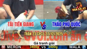 Trận 23 CPC5 27/12/2025 - Bướm Anh Tài Bị Đá Không Ngóc Đầu Lên Nổi