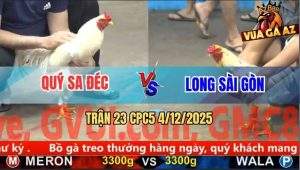 Trận 23 CPC5 4/12/2025 - Gà Bướm Anh Long Dập Như Máy Khâu Công Nghiệp