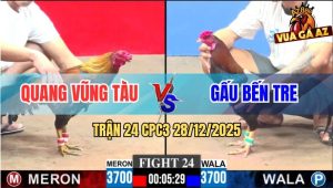 Trận 24 CPC3 28/12/2025 - Gà Anh Quang Đá Gà Anh Gấu Không Kịp Tha Lơ