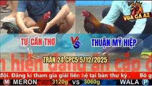 Trận 24 CPC5 5/12/2025 - Gà Que Anh Tư Lùa Tốc Độ Đâm Điều Chết Tươi