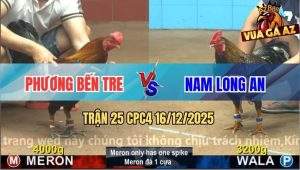 Trận 25 CPC4 16/12/2025 - Gà Cú Anh Nam Kém 8 Chấm Đâm Điều Bại Liệt