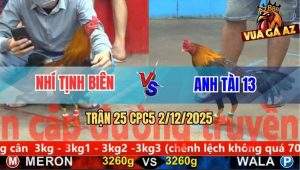 Trận 25 CPC5 3/12/2025 - Gà Que Anh Nhí Tịnh Biên Đâm Cựa Như Chỉa