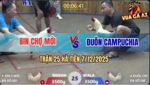 Trận 25 Hà Tiên 7/12/2025 - Gà Bướm Anh Bin Đá Toàn Đâm Mu Lưng