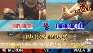 Trận 26 CPC4 15/12/2025 - Bướm Đá Ăn 1, Que Để Lại Cây Đưa Biện Đi Xa
