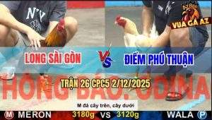 Trận 26 CPC5 3/12/2025 - Gà Điều Anh Long Lụm Xổ Không Dính Mũi Cựa