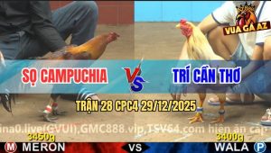 Trận 28 CPC4 29/12/2025 - Điều Anh Sọ Thà Chảy Máu Quyết Không Bỏ Cuộc