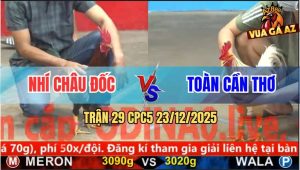 Trận 29 CPC5 23/12/2025 - Bướm Anh Toàn Đá Điều Anh Nhí Ói Đen Đầu
