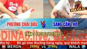 Trận 3 CPC5 13/12/2025 - Gà Úa Anh Phương Đâm Cựa Như Sơ Mít