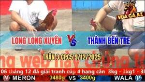 Trận 3 CPC5 9/12/2025 - Chuối Trắng Anh Thành May Độ Đâm Vàng Quẹo Cổ