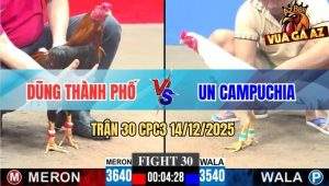 Trận 30 CPC3 14/12/2025 - Điều Việt Lai Anh Dũng Đá Bướm CPC Chết Tươi