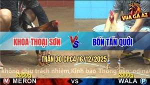 Trận 30 CPC4 16/12/2025 - Bướm Anh Bốn Đâm Điều Gãy Cổ Nằm Đống