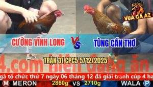 Trận 31 CPC5 5/12/2025 - Gà Que Anh Cường Gồng Nước Khuya Quá Tốt