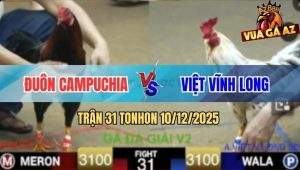 Trận 31 TonHon 10/12/2025 - Anh Đuôn Campuchia Gặp Anh Việt Vĩnh Long