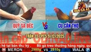 Trận 32 CPC5 9/12/2025 - Điều Cọp Anh Qúy Sa Đéc Đá Chân Nào Cũng Đâm