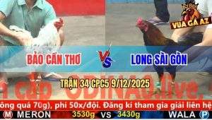 Trận 34 CPC5 9/12/2025 - Bướm Áp Sát Đá Cây Cần Que Mặt Râu Té Cái Đụi