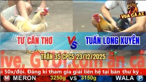 Trận 35 CPC5 23/12/2025 - Que Nghệ Đâm Thủng Lưng Bướm mặt Râu Anh Tư