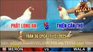 Trận 36 CPC4 17/12/2025 - Bướm Hiệu Anh Phát Đâm Như Máy Sới