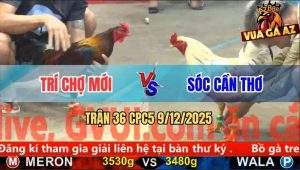 Trận 36 CPC5 9/12/2025 - Bướm Anh Sóc Dí Bạc Cho Cố Vô Trong Nằm Đống