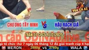 Trận 37 CPC5 9/12/2025 - Điều Anh Hậu Đâm Ngay Hang Cua Bướm Ngã Ngang