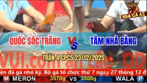 Trận 4 CPC5 23/12/2025 - Điều Đá Phát Nào Xanh Ói Tiền Phát Đó