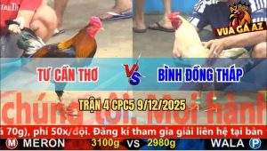 Trận 4 CPC5 9/12/2025 - Điều Anh Tư Đâm Cây Lưng Bướm Ho Ra Si Rô