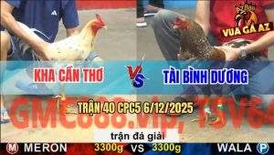 Trận 40 CPC5 6/12/2025 - Anh Kha Cần Thơ Gặp Anh Tài Bình Dương