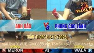 Trận 41 CPC4 16/12/2025 - Chuối Bông Đá Chân Nào Úa Ra Tiền Chân Đó