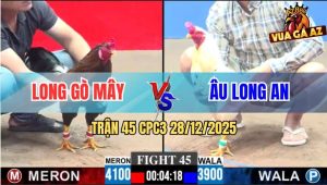 Trận 45 CPC3 28/12/2025 - Bướm Anh Âu Dập Như Máy Khâu Công Nghiệp