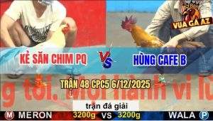 Trận 48 CPC5 6/12/2025 - Kẻ Săn Chim Phú Quốc Gặp Anh Hùng Cafe B