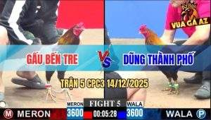 Trận 5 CPC3 14/12/2025 - Que Anh Gấu Đá Điều Anh Dũng Ói Không Kip Thở