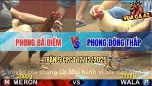 Trận 5 CPC4 17/12/2025 - Úa Hiệu Anh Nu Chấp Ngông Nhận Ngay Trái Đắng