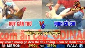 Trận 5 CPC5 24/12/2025 - Gà Úa Anh Định Gồng Cứu Chủ Không Thành