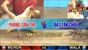 Trận 6 CPC4 17/12/2025 - Úa Anh Phong Quá Trâu Bướm Đâm Không Thấm