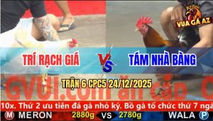 Trận 6 CPC5 24/12/2025 - Điều Chân Xanh Đá Tăng 1 Úa Chạy Mất Dép