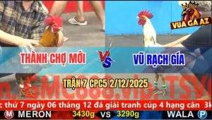Trận 7 CPC5 3/12/2025 - Xám Vàng Mống Lá Anh Thành Đá Bo Như Xe Đụng