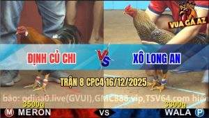 Trận 8 CPC4 16/12/2025 - Gà Cú Anh Xô Long An Gồng Nước Khuya Quá Hay