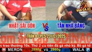 Trận 8 CPC5 23/12/2025 - Gà Anh Nhật Sài Gòn Đá Xanh Không Kịp Tha Lơ