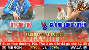 Trận 8 CPC5 24/12/2025 - Gà Que Thắng Tang Bung Chạy Để Lại Giỏ Tiền