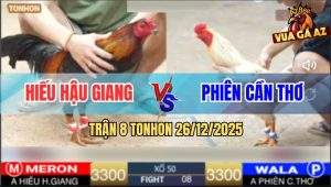 Trận 8 TonHon 26/12/2025 - Gà Điều Gãy Cánh Gông Tang Hòa Cứu Chủ